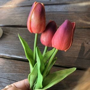 Decorative tulips